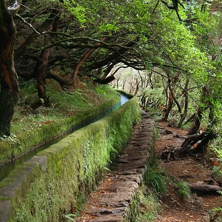 Sweet Funchal Centro By Hr Madeira * Funchal (Madeira)